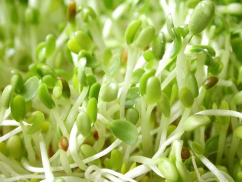Giải đáp các thắc mắc về TPCN Bảo Xuân (P1) 3 Giải đáp các thắc mắc về TPCN Bảo Xuân (P1) 3