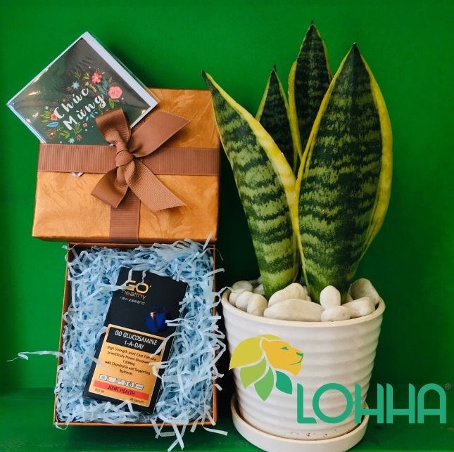 Đối tượng sử dụng: 1 Thích hợp làm quà biếu - tặng