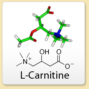 L-Carnitine Fumarate 1