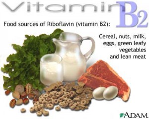 Vitamin B2 1