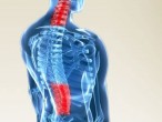 Cốt thoái vương – Cho cột sống luôn khỏe mạnh Cốt thoái vương – Cho cột sống luôn khỏe mạnh