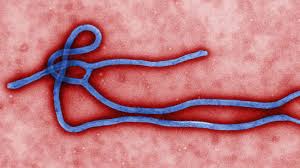 Virus Ebola – Những điều cần biết 1