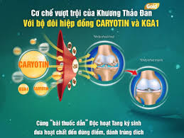Khương Thảo Đan Gold 120 viên 1